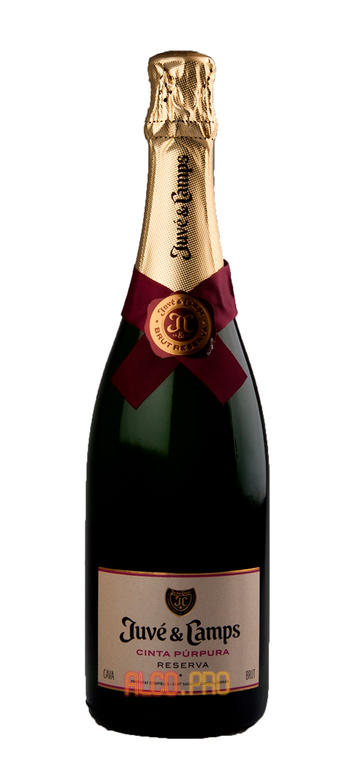 Juve y Camps Cava Cinta Purpura Reserva Brut шампанское Жюве и Кампс Кава Синта Пурпура Резерва Брют Juve y Camps Cava Cinta Purpura Reserva Brut шампанское Жюве и Кампс Кава Синта Пурпура Резерва Брют