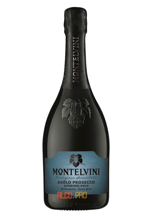 Montelvini Asolo Prosecco Superiore Millesimato шампанское Монтельвини Асоло Просекко Суперьоре Миллезимато Montelvini Asolo Prosecco Superiore Millesimato шампанское Монтельвини Асоло Просекко Суперьоре Миллезимато